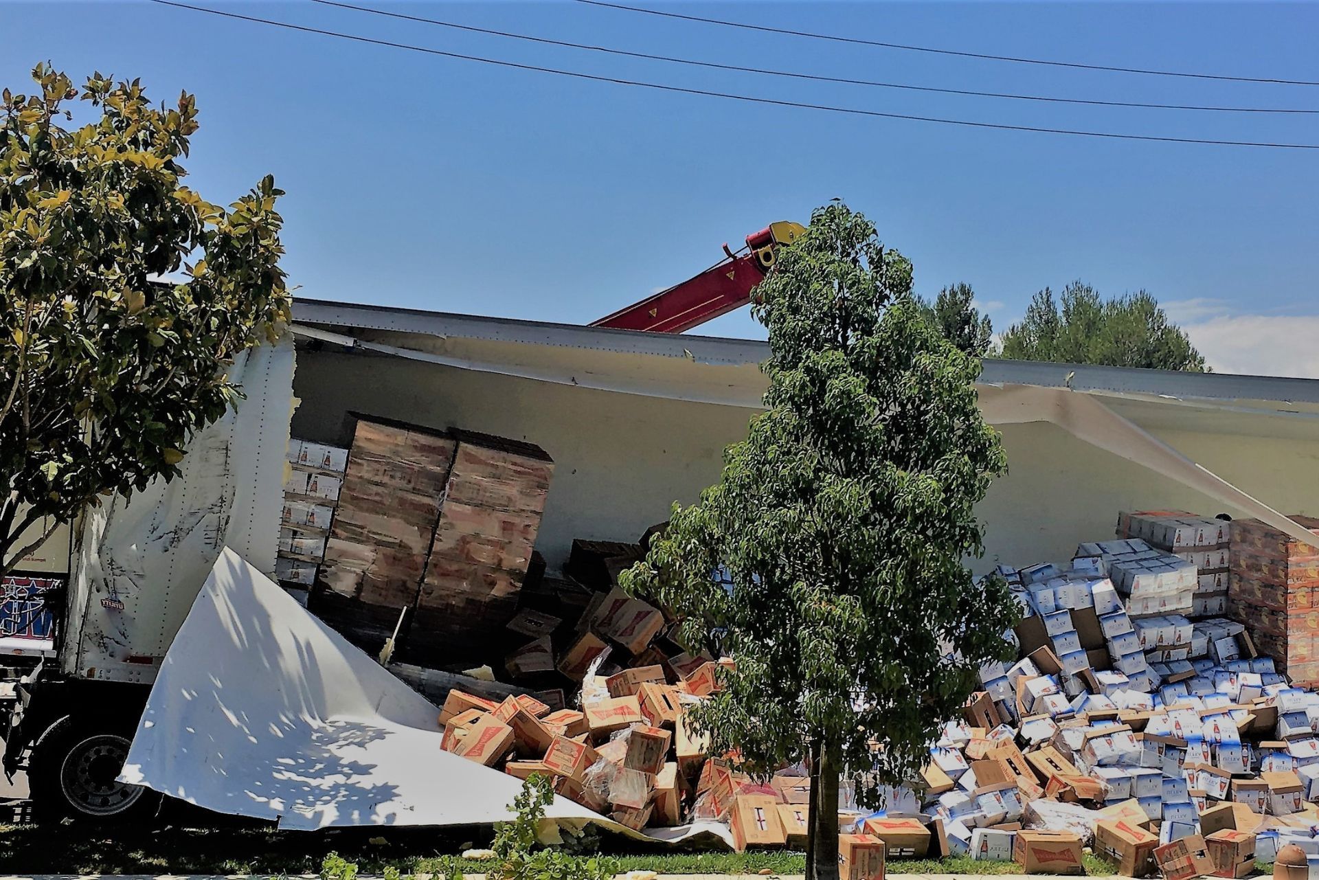 Collapsed roof with piles of bricks and debris outside a building, partly hidden by trees under a blue sky