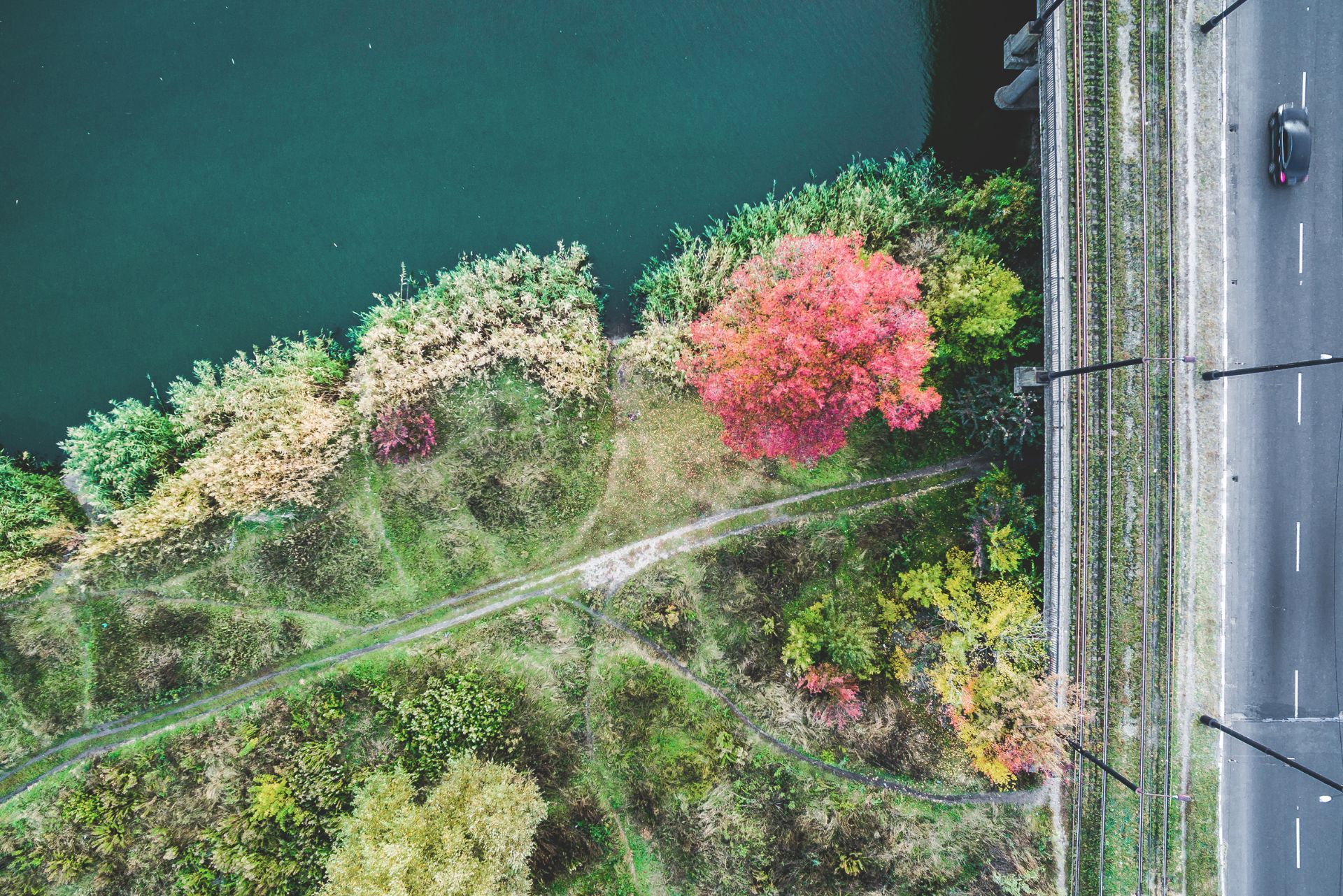 Aerial view of a roadside beside water, with colorful flowering trees and a path through dense greenery.