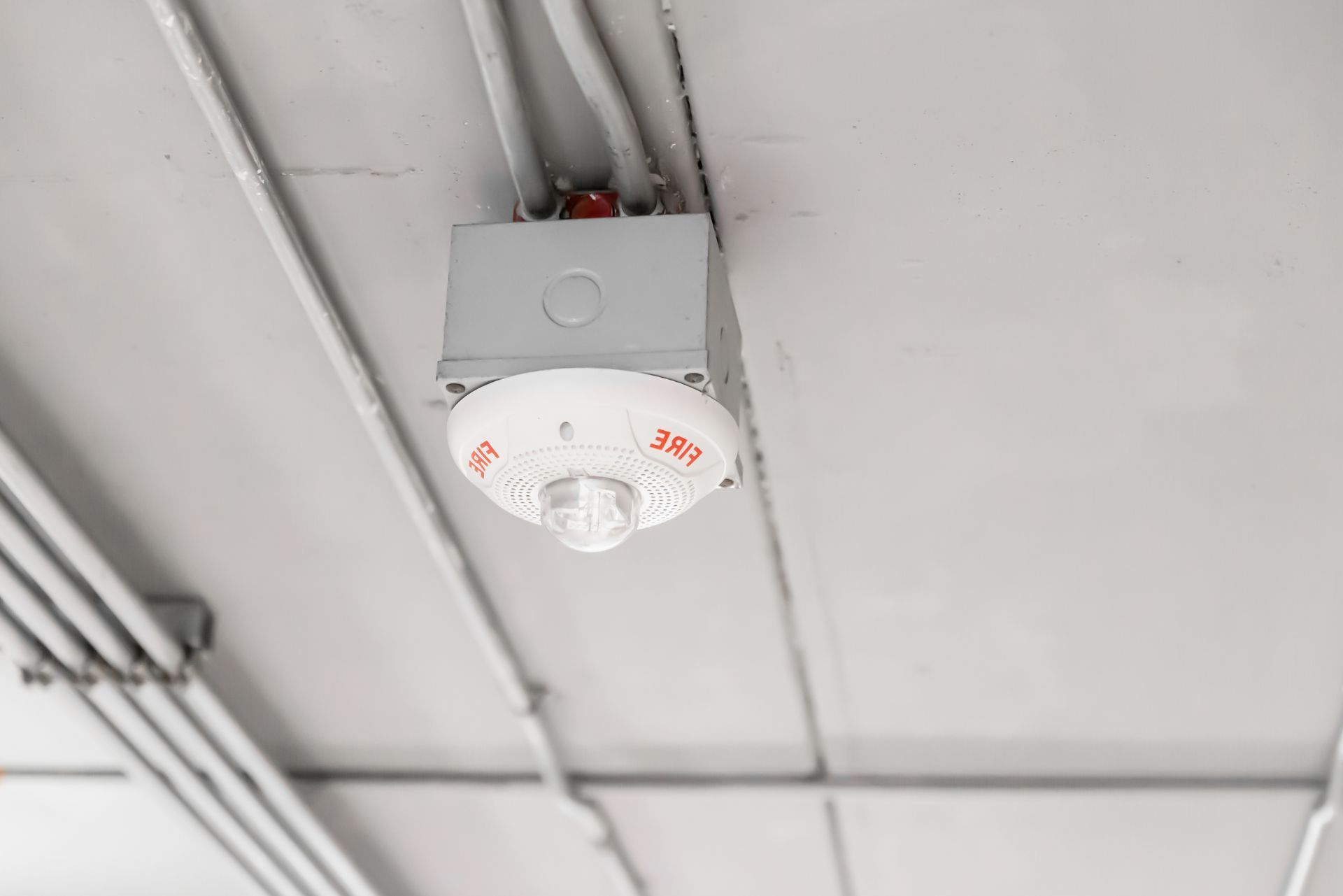 Ceiling-mounted white smoke detector on a gray industrial ceiling