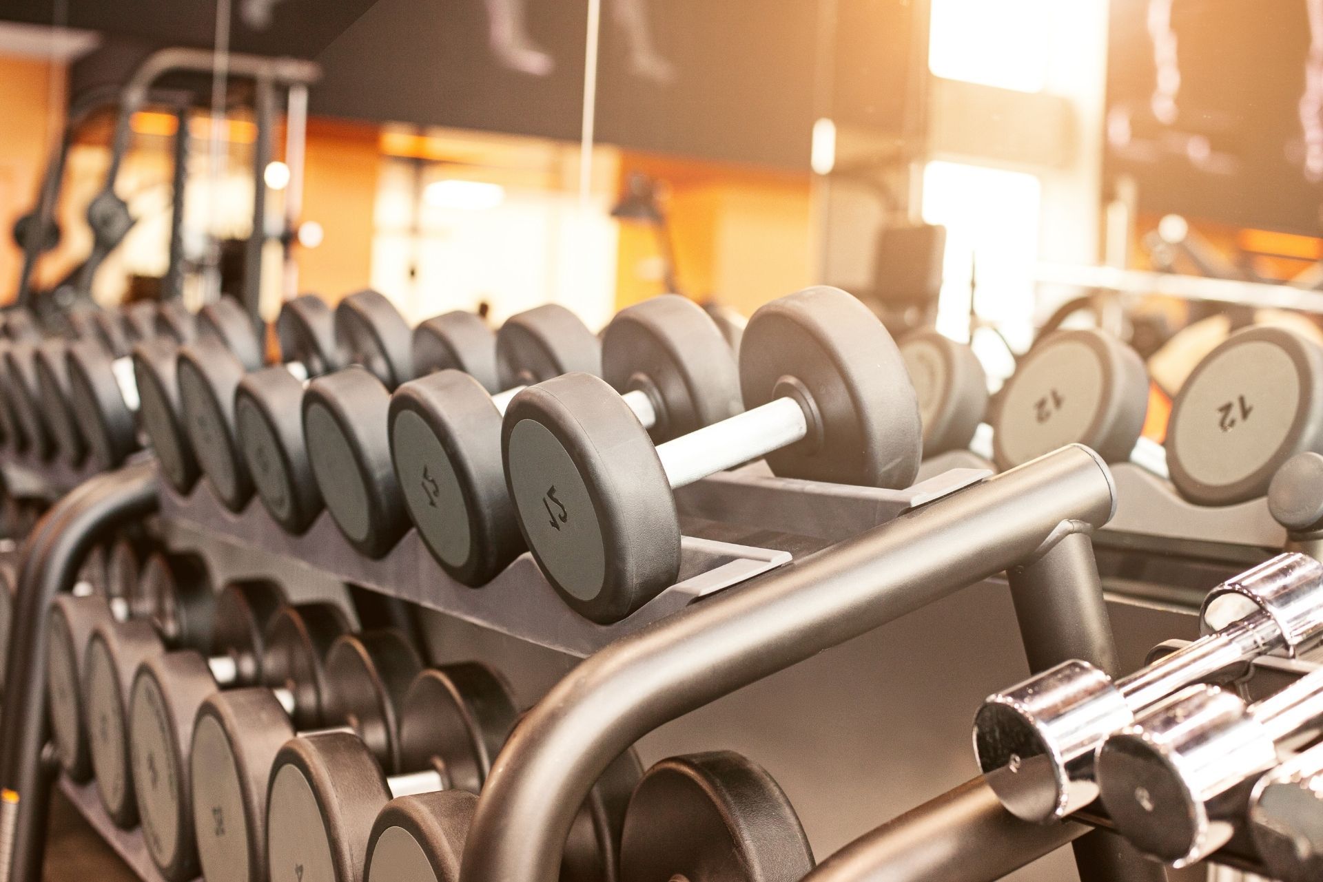 Rows of dumbbells on gym racks with warm lighting and a chrome barbell in the foreground