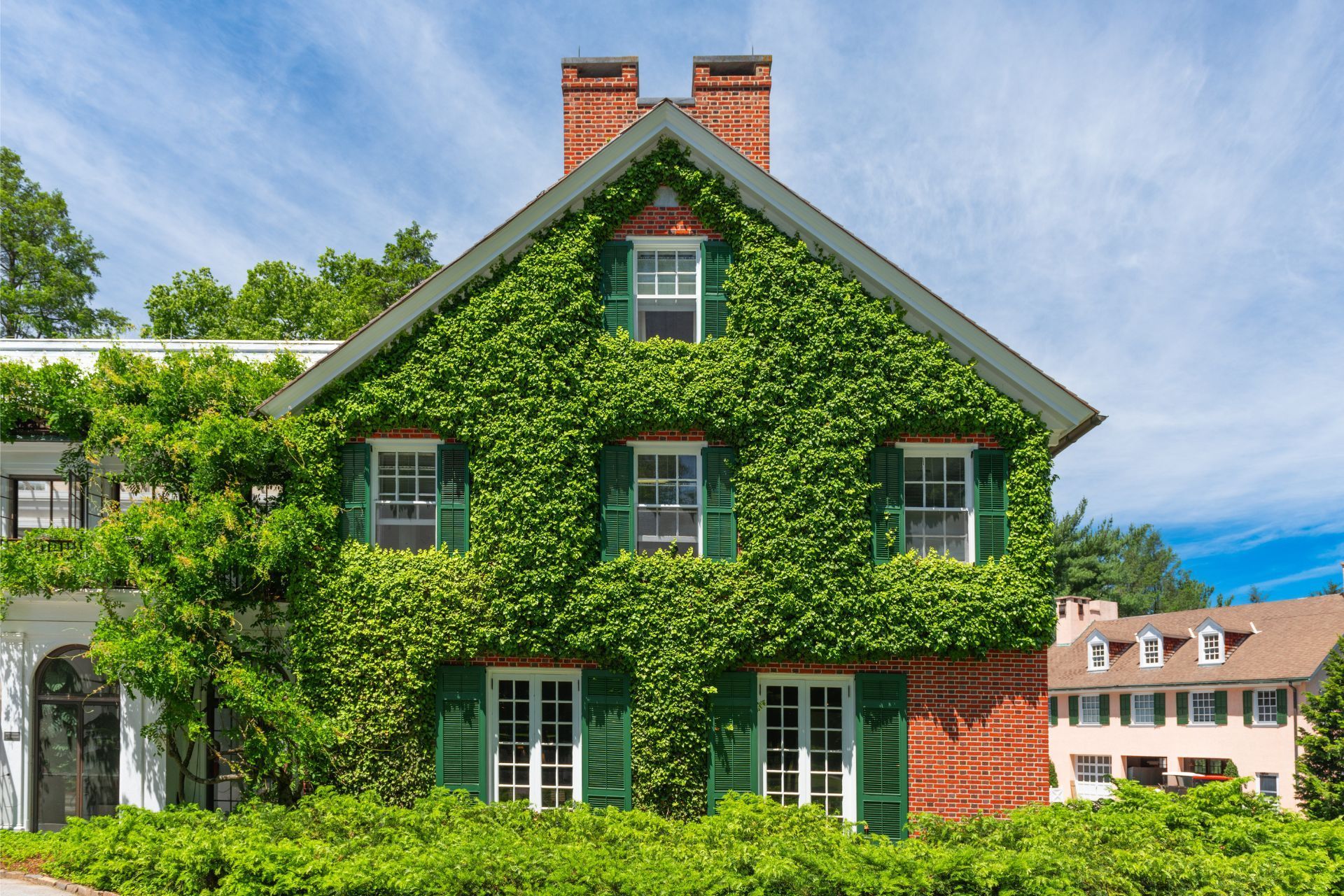 Ivy-covered brick house with white-trimmed windows and a steep roof under a blue sky