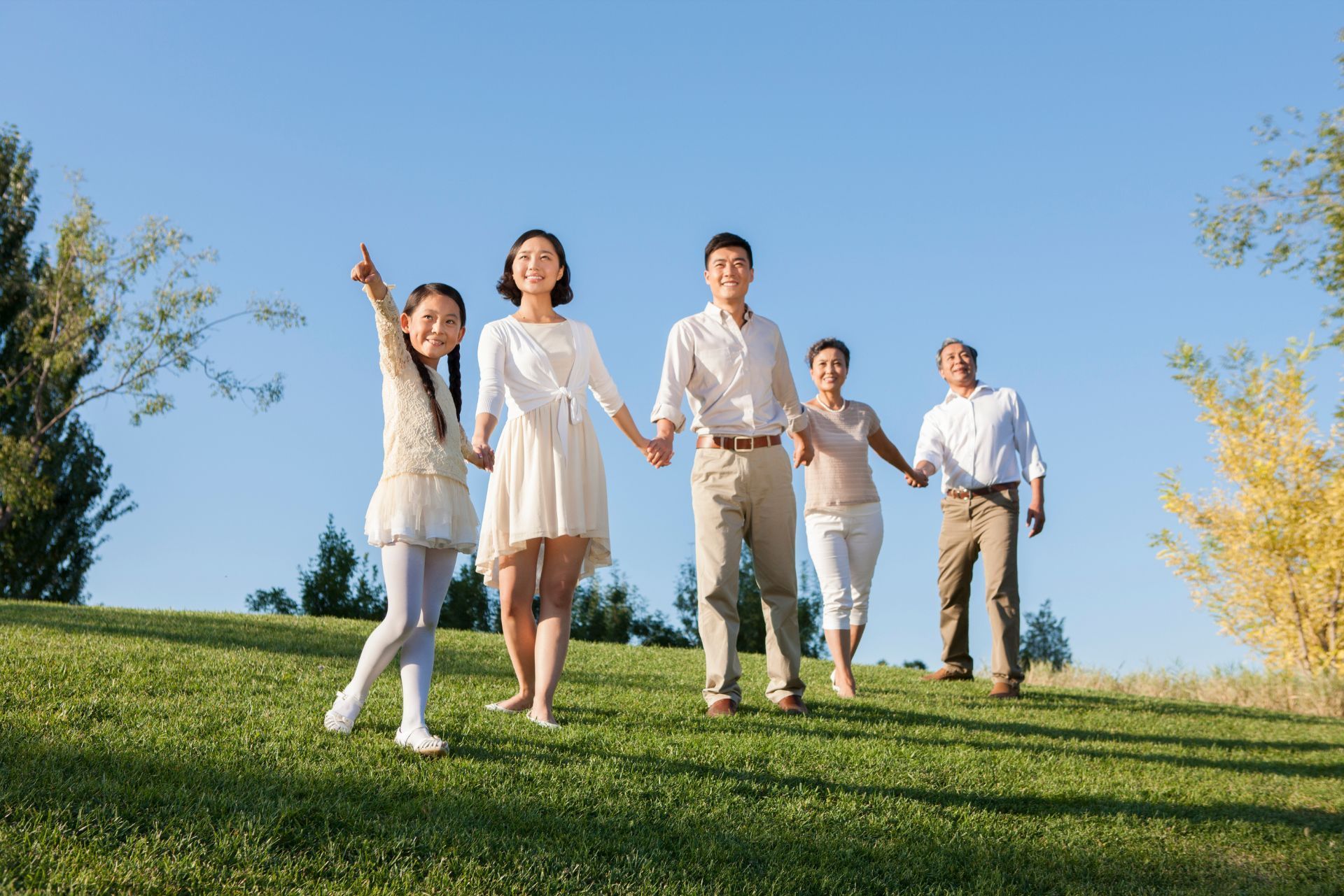 Five people walking hand in hand on a grassy hill under a blue sky