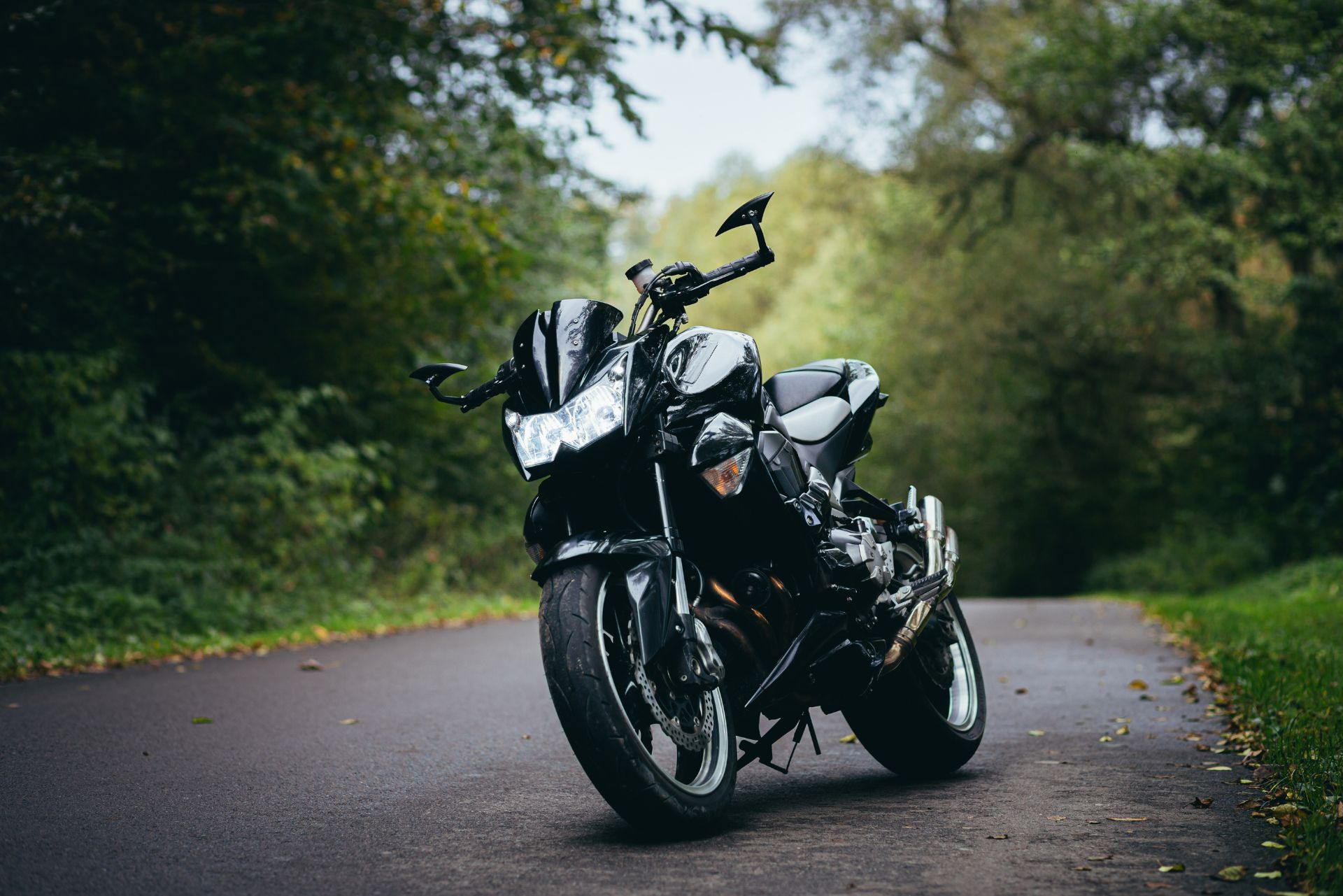 Motorcycle parked on a wet forest road beside dense green trees