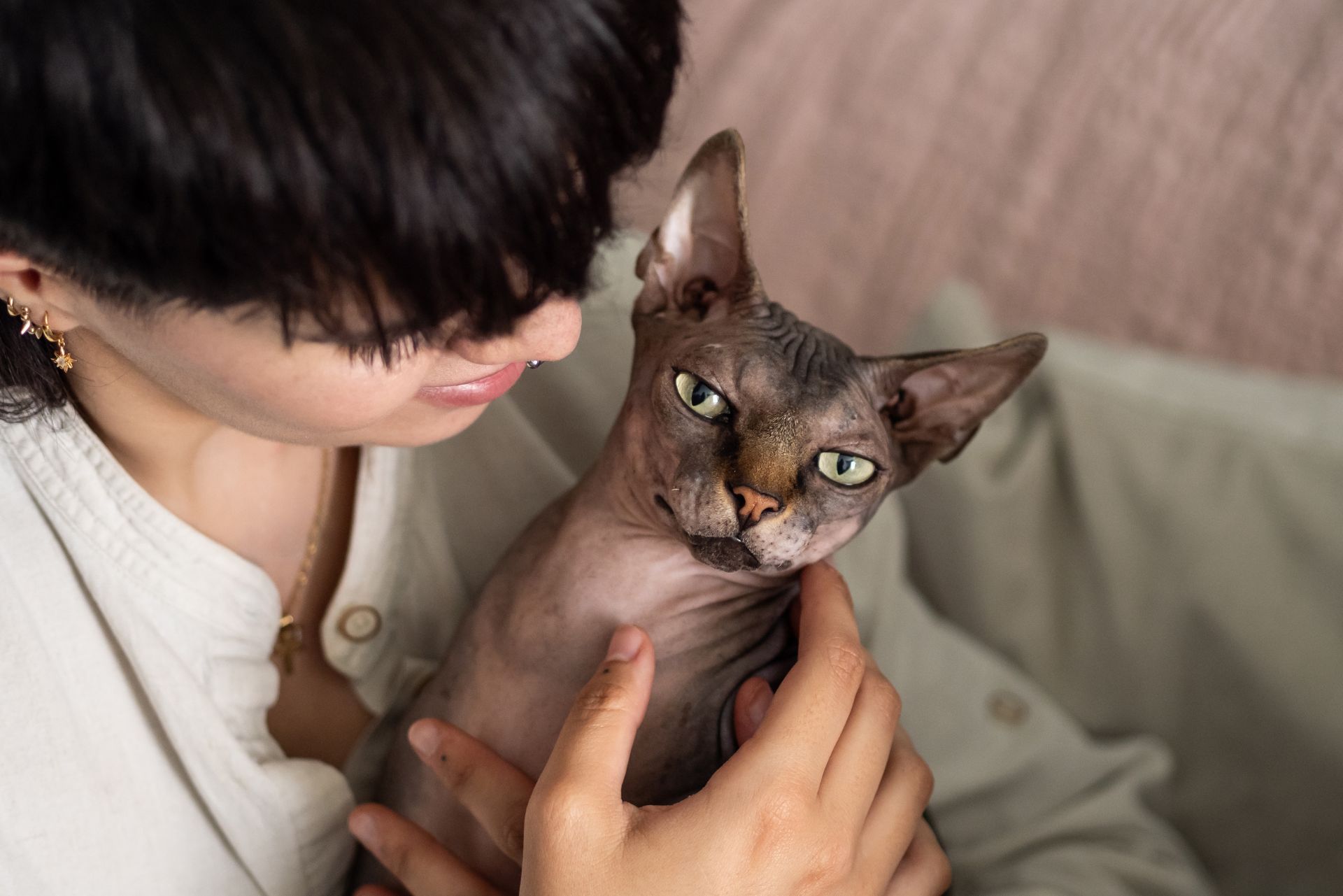 Person holding a hairless cat on a bed, both looking calmly toward the camera.
