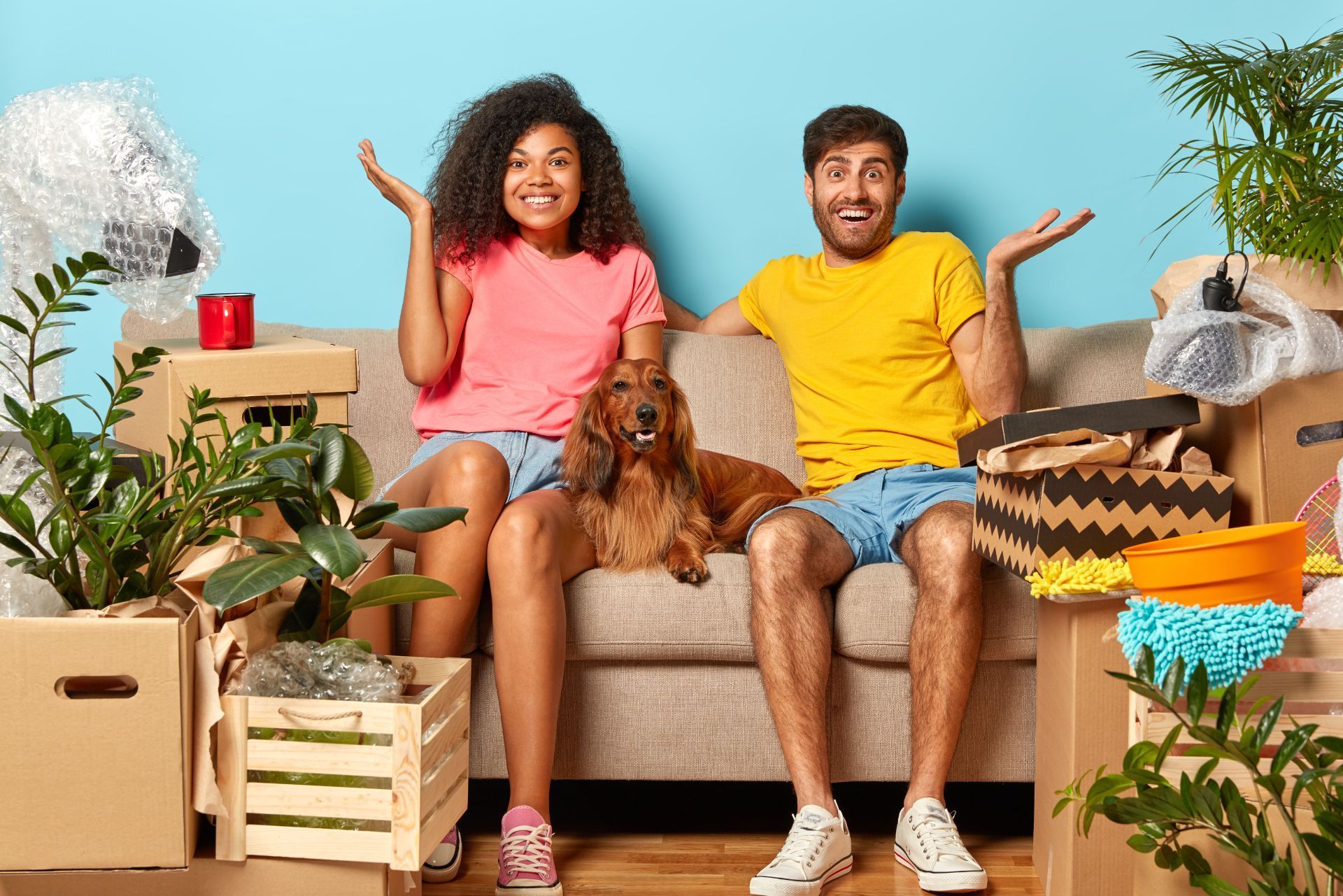 A couple sits on a sofa surrounded by cardboard boxes and houseplants, gesturing with their hands as a dog sits between.
