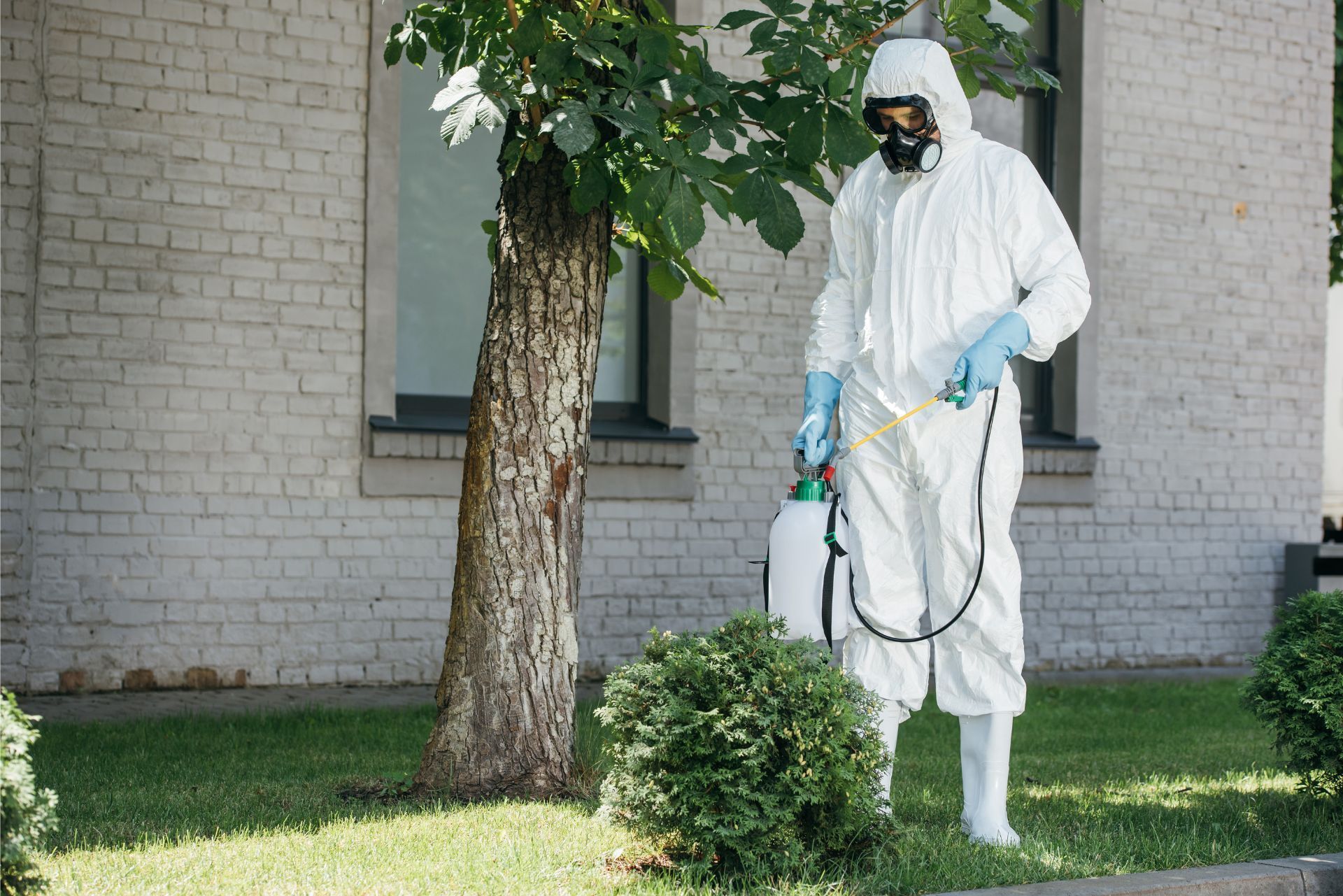 Person in white protective suit spraying plants beside a brick building and tree.