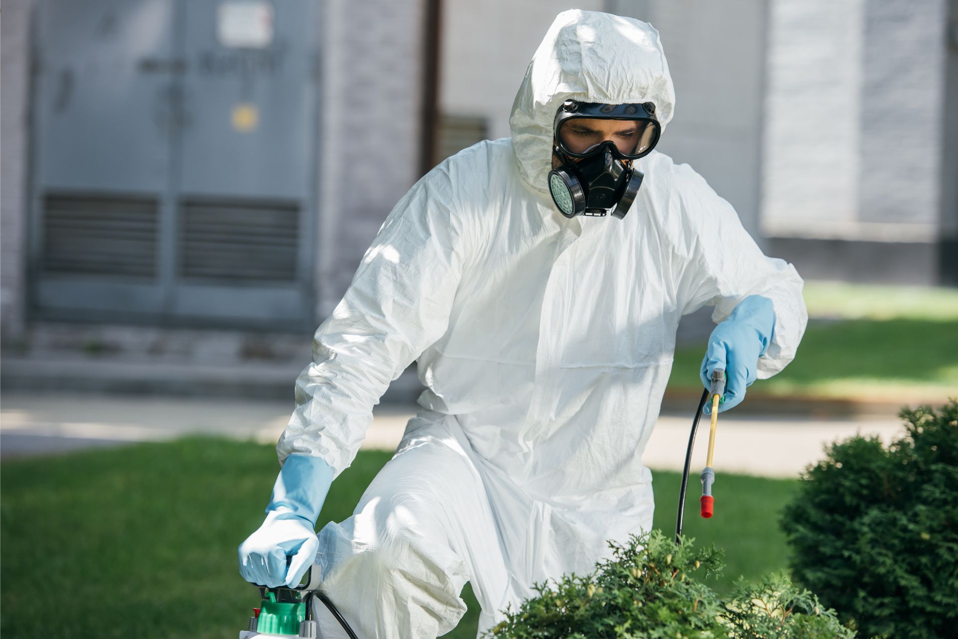 Person in white protective suit and mask spraying pesticide near a building and bushes