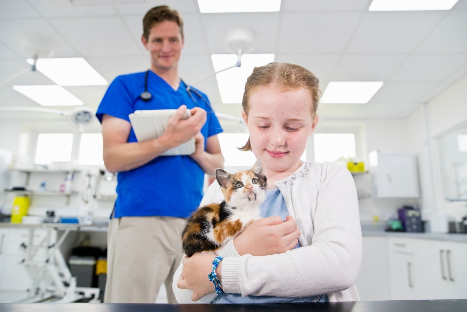 A young person holds a calico kitten at a vet clinic while a veterinarian in blue scrubs stands in the background.