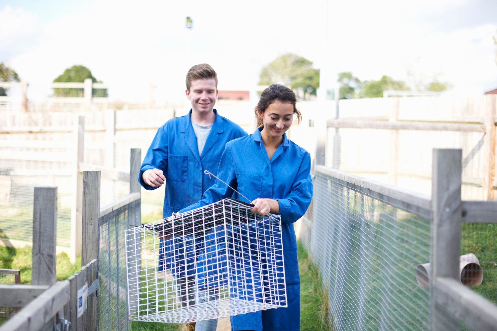 Two people in blue lab coats carrying a grid panel outdoors on a walkway