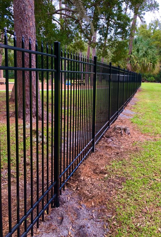 Black metal fence along grassy area, trees in the background.