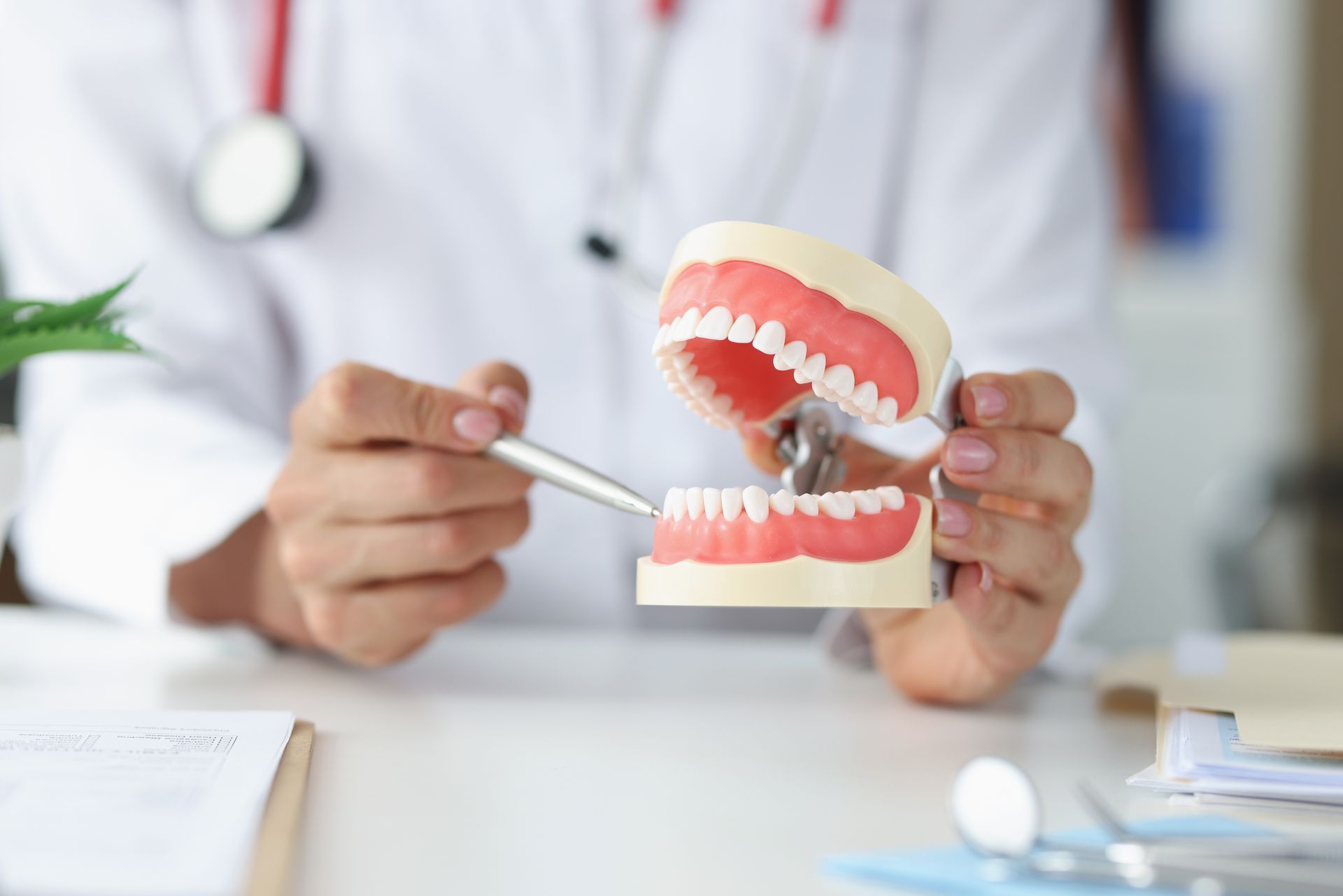 Dentist demonstrating a dental model with toothbrush in a clinic