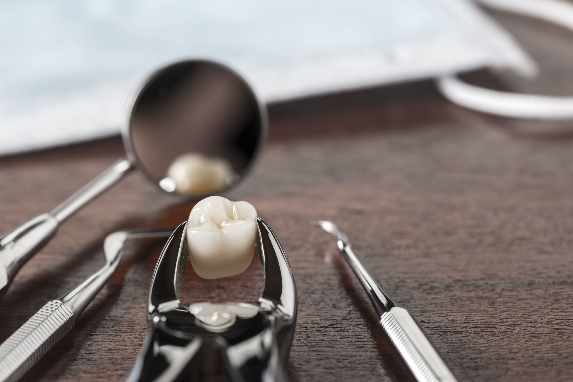Dental tools around a molar tooth model on a table, with a reflective mirror in the background