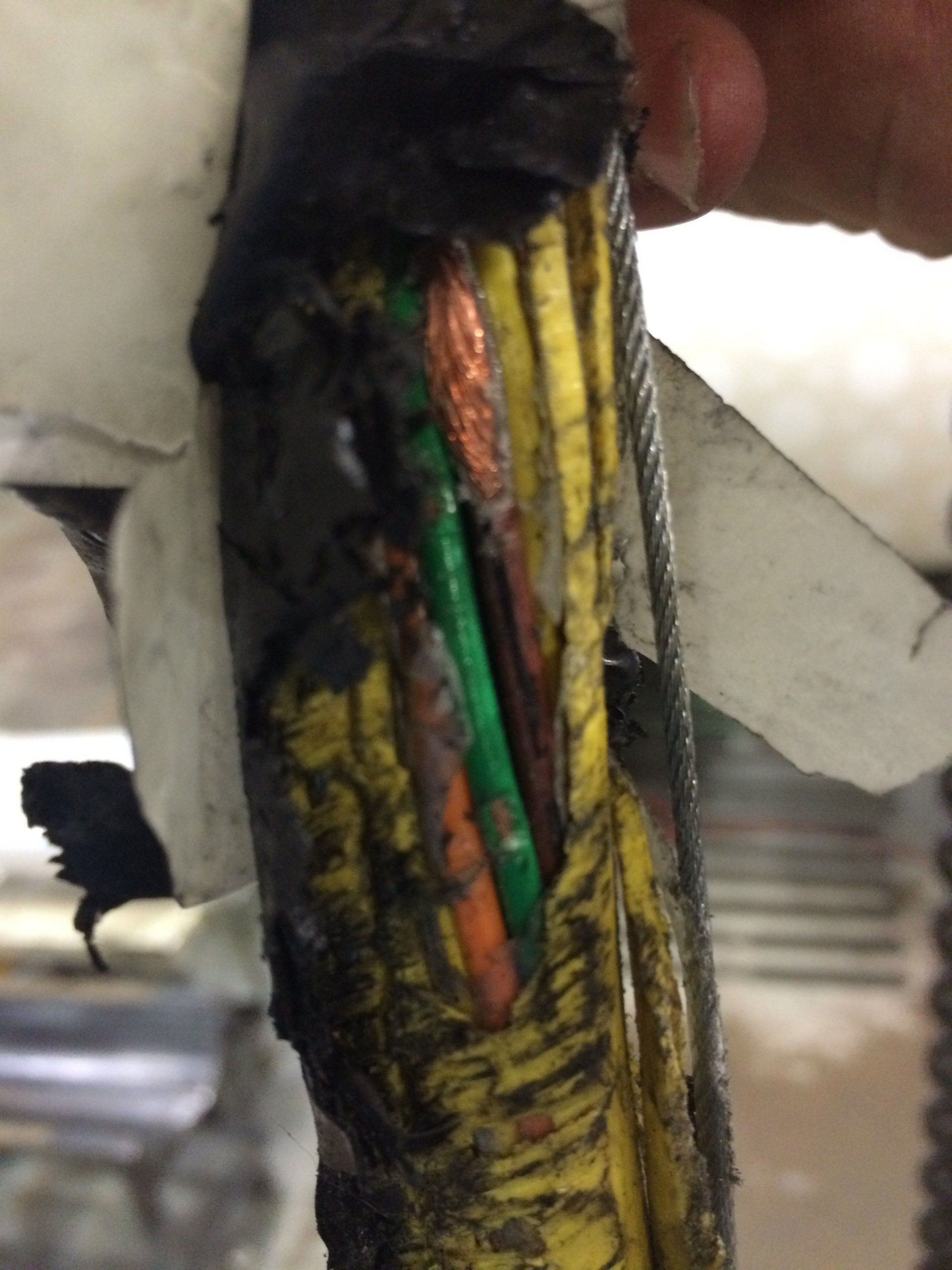 A person is holding a bunch of wires in their hand
