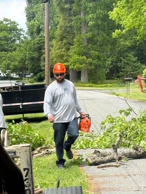 Worker in orange hard hat using a chainsaw beside a fallen tree on a road edge.