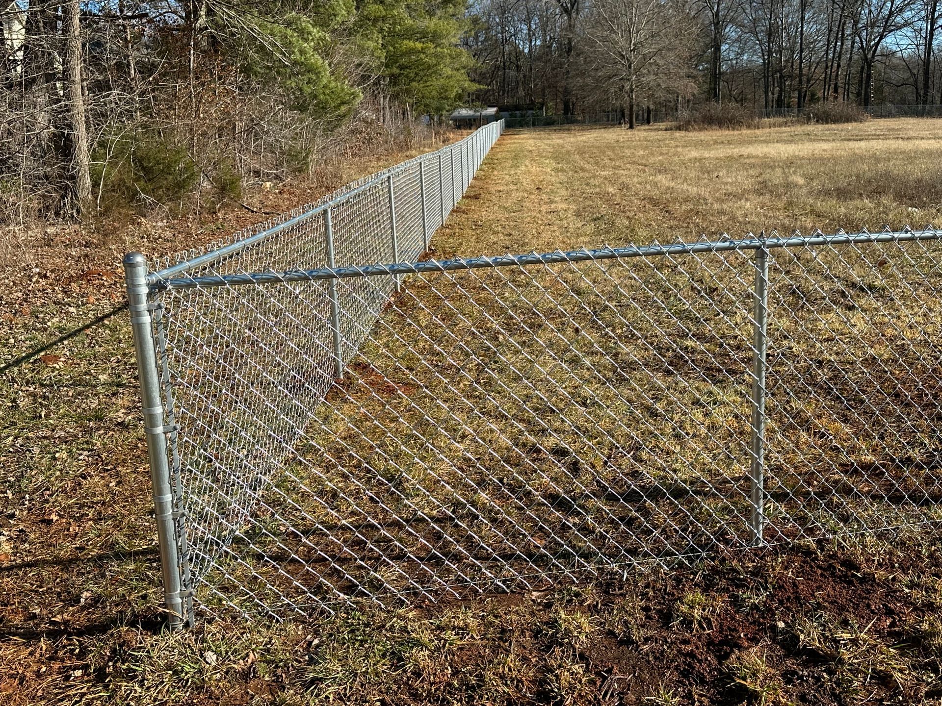 Chain Link fence 1