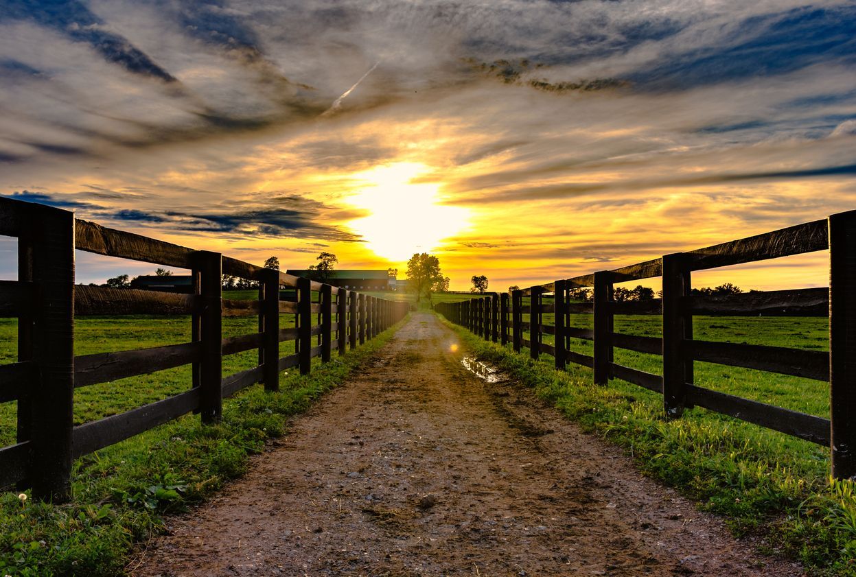 Dirt road leading to a barn with sunset