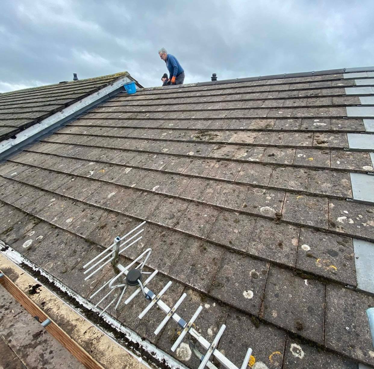The Roof Care Company image
