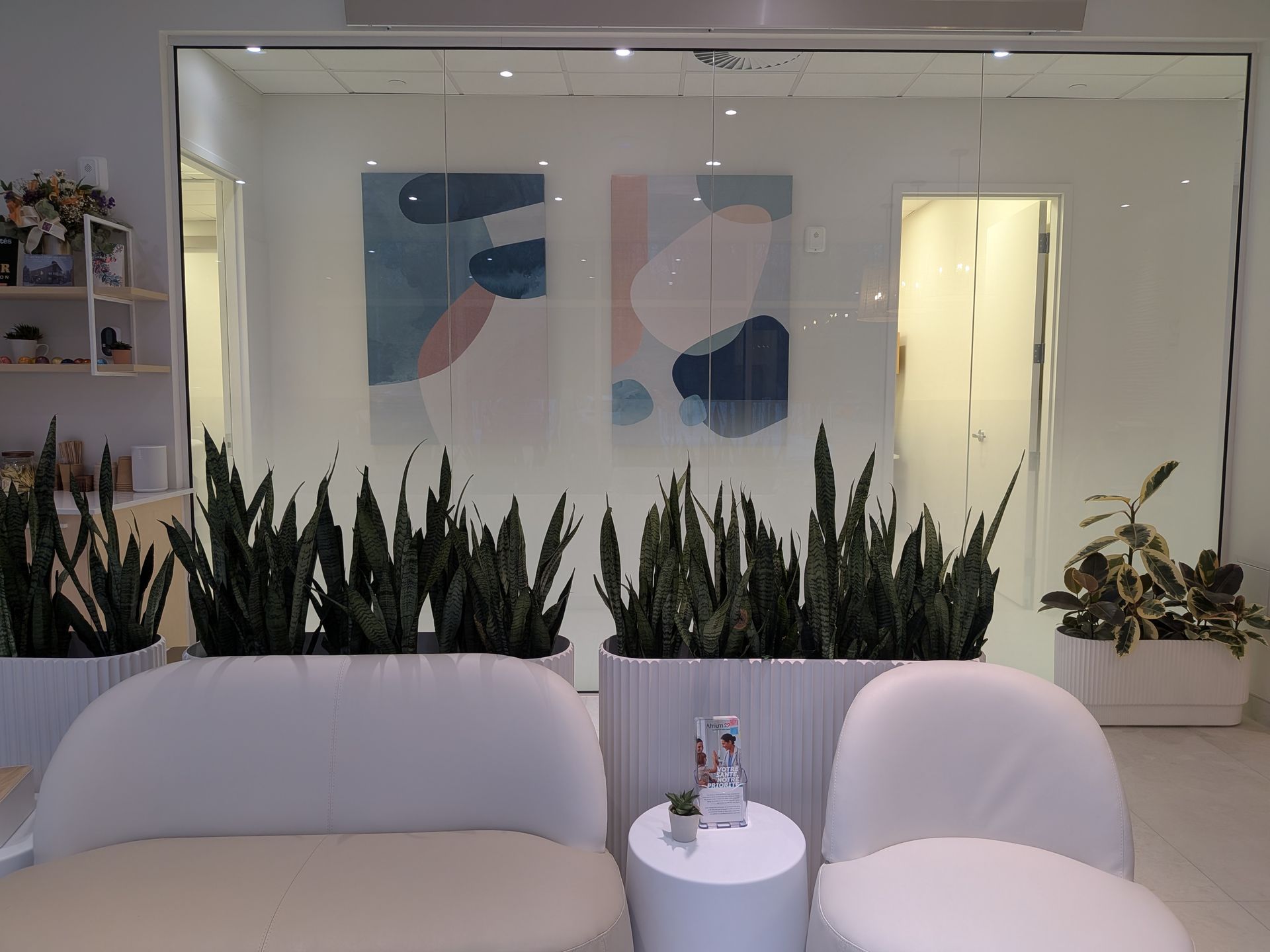 Un espace d'attente moderne avec des canapés blancs incurvés, une petite table ronde et des jardinières remplies de grandes sansevierias.