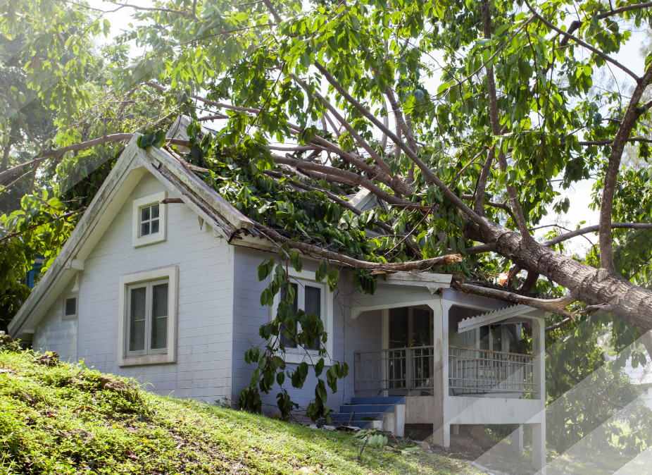 A white house with a tree fallen on it.