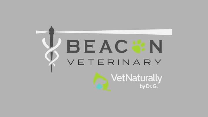 Beacon Veterinary Hospital Logo