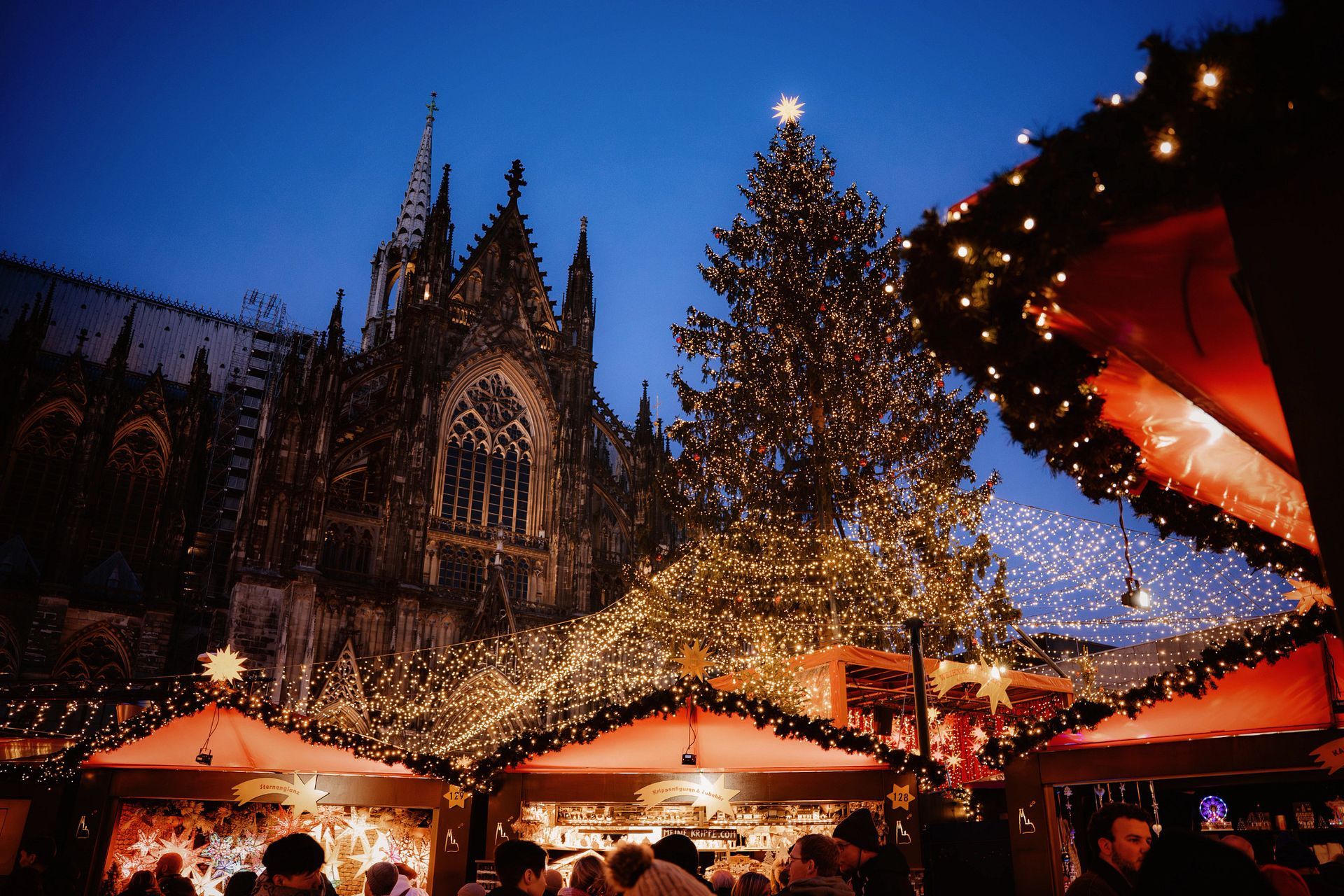 Christmas market with lit stalls and a large decorated tree in front of a cathedral at dusk