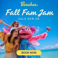A child holds a Sesame Street character on a beach with blue sky, promoting a 