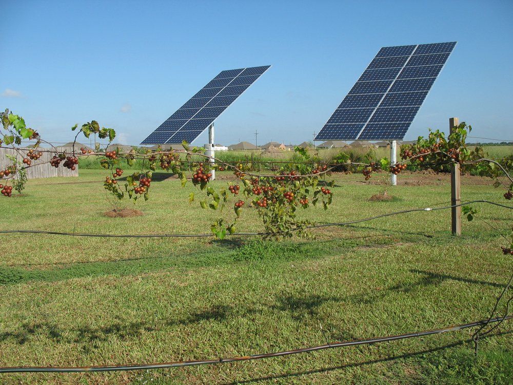 Two solar panels are sitting in a grassy field