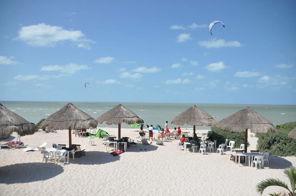 Palapas en la playa  Tecnohotel Beach