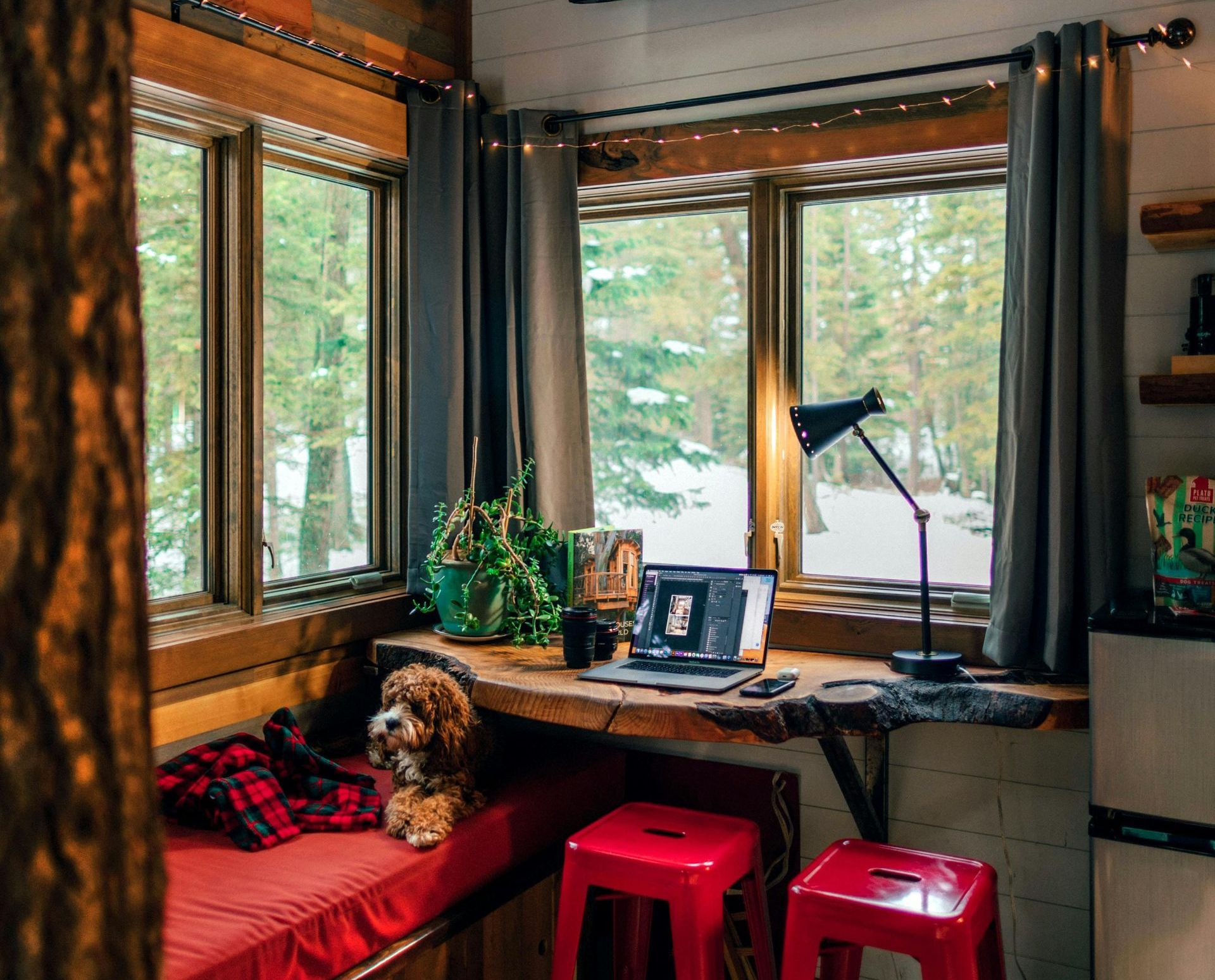 A dog is sitting on a bed next to a desk with a laptop on it.