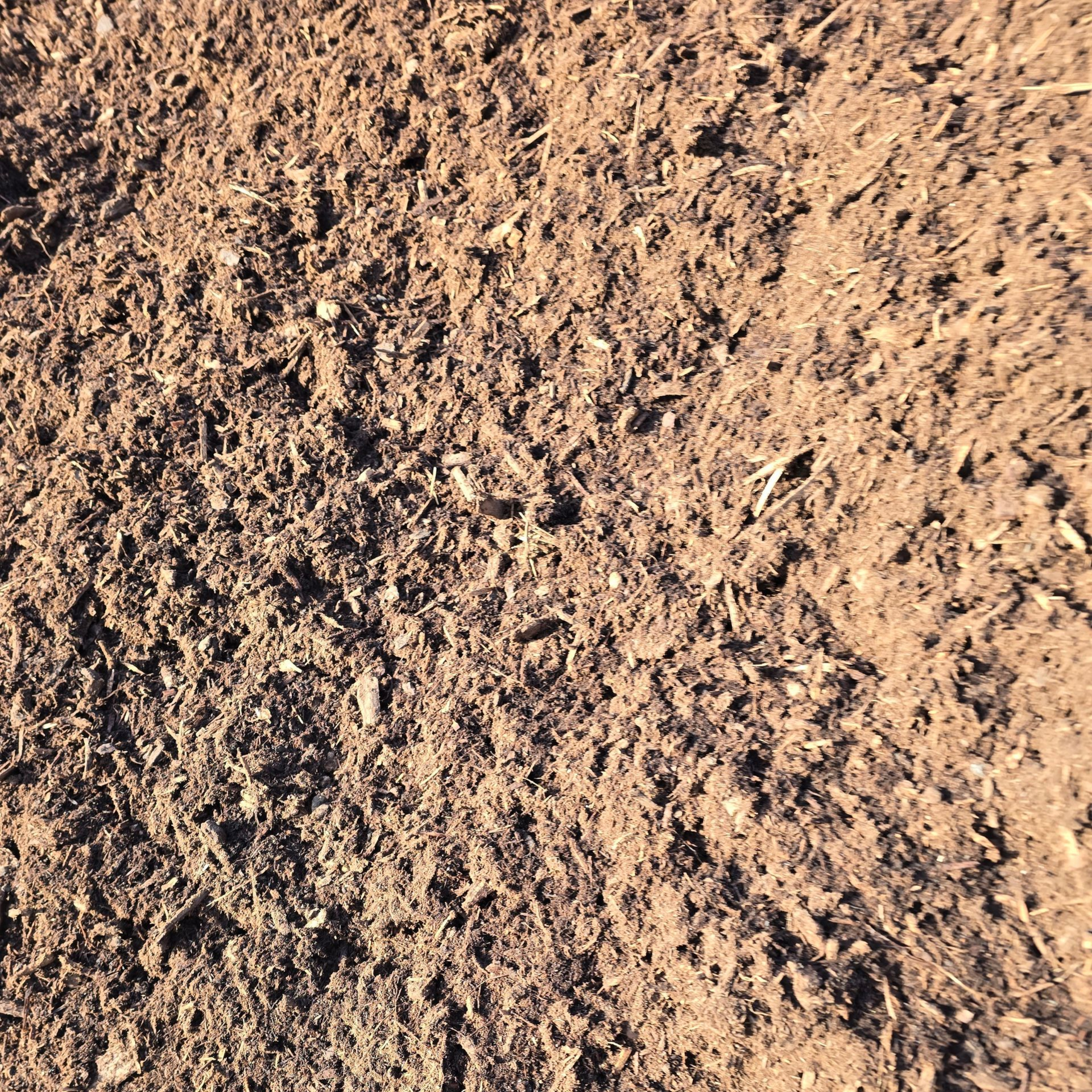 Close-up of dry, brown textured soil with small rocks and twigs