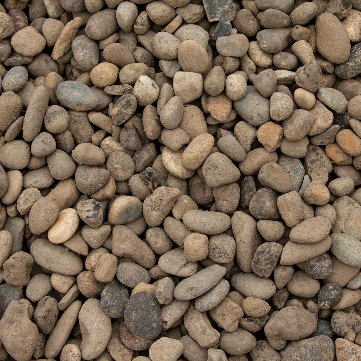 Close-up of small tan and gray pebbles filling the frame