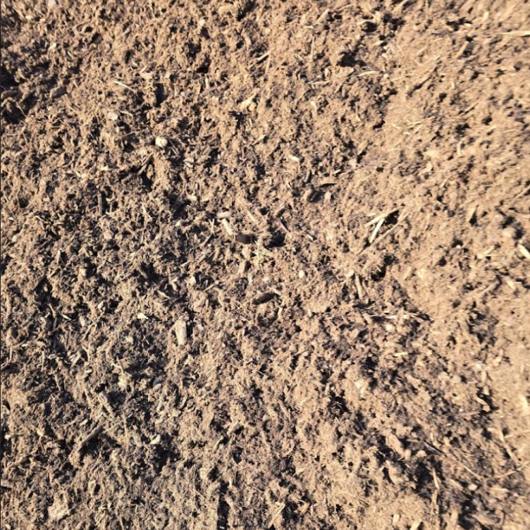 Close-up of rough tan soil with scattered dark pebbles and dry plant debris