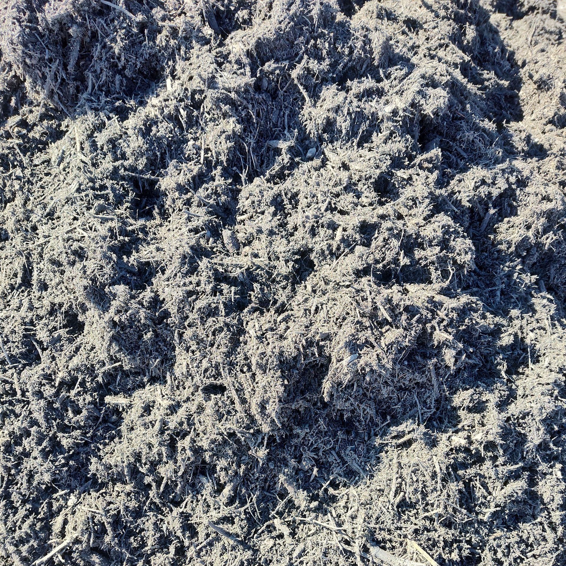 Close-up of frost-covered grass or leaves, pale white and blue-gray textured ground