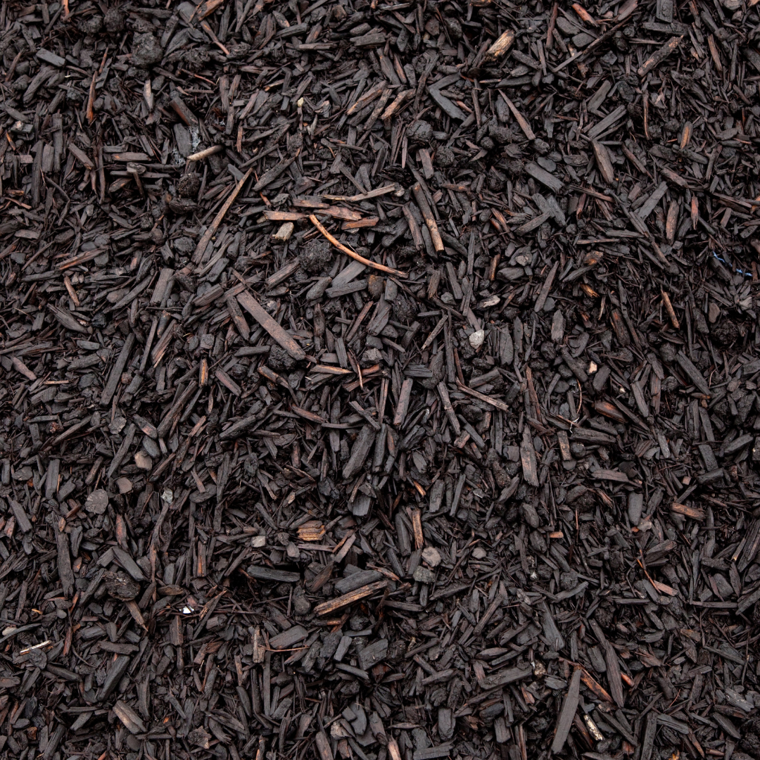 Close-up of dark brown wood chips or mulch, filling the frame.