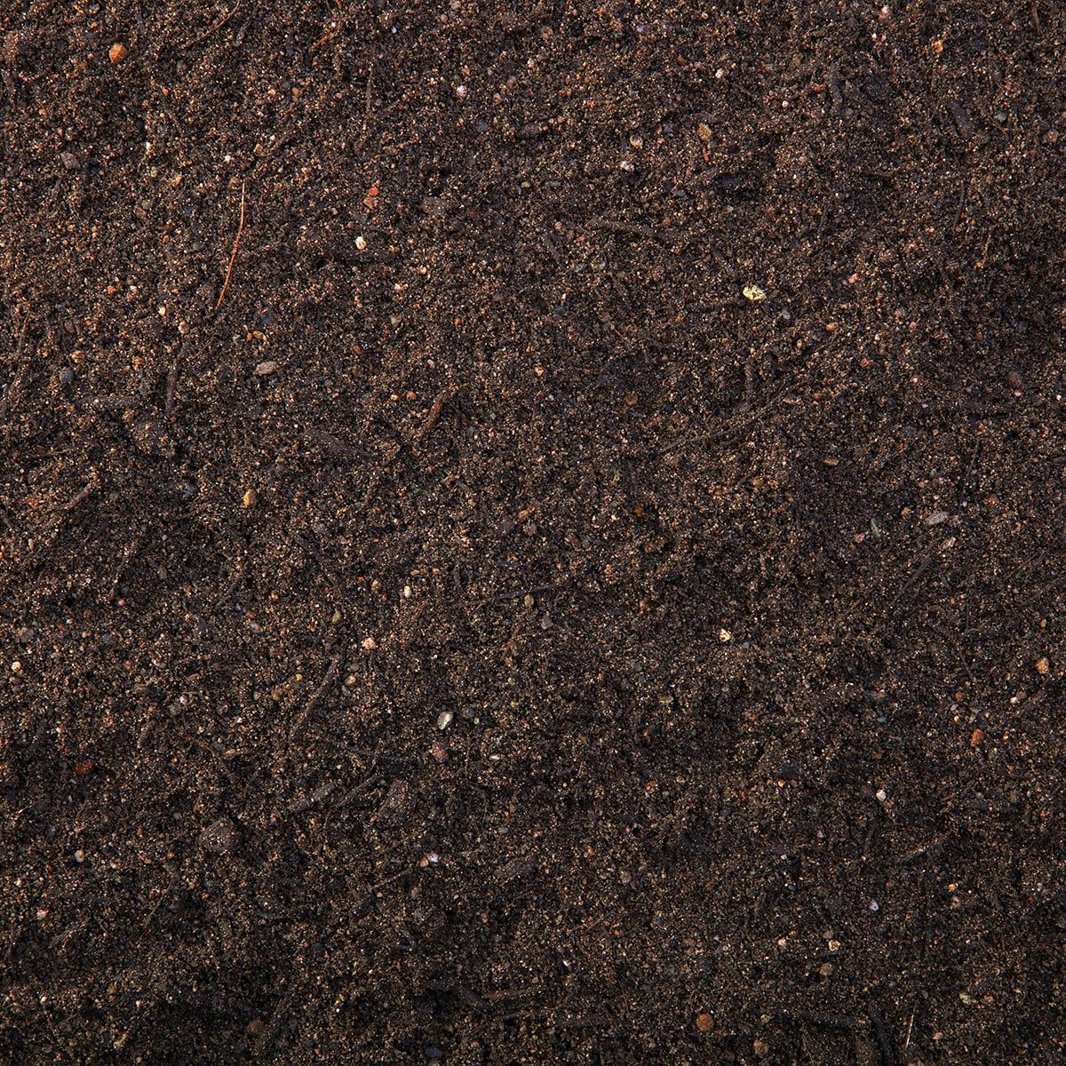 Close-up of dark brown soil or mulch with a rough, grainy texture