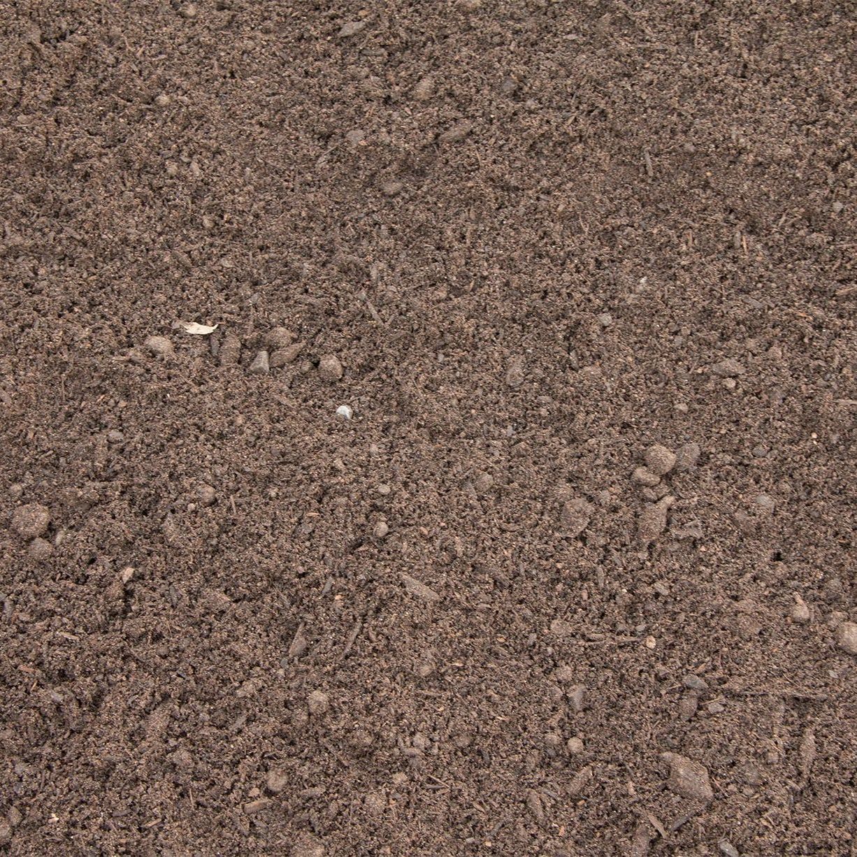Close-up of brown gravelly soil with small pebbles scattered across the surface