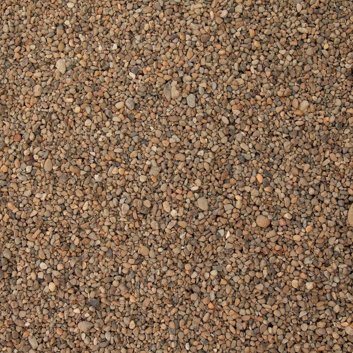 Brown and tan gravel stones filling the frame, creating a textured background.