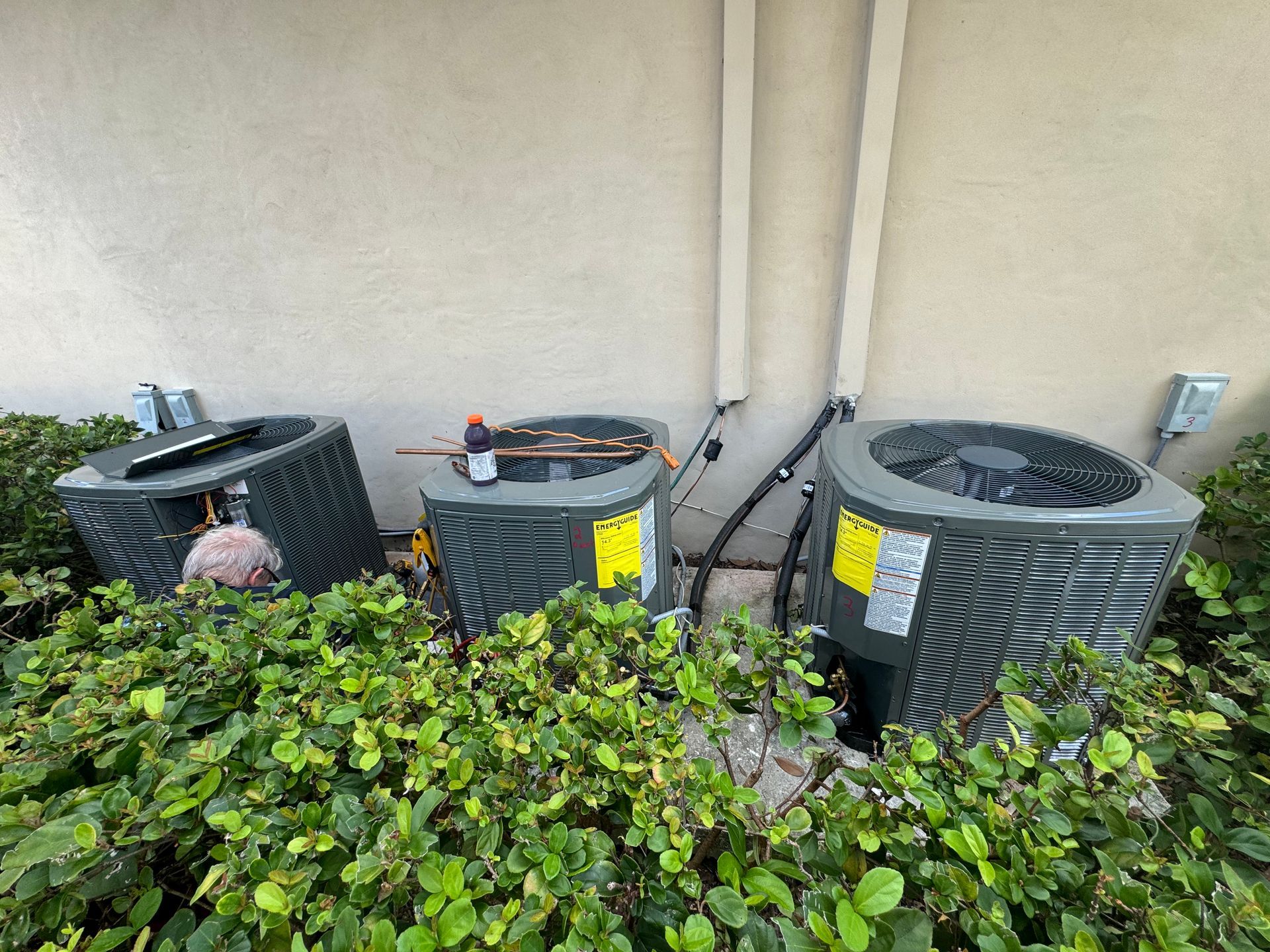 Three outdoor air conditioning units beside a wall, partly covered by green shrubs.