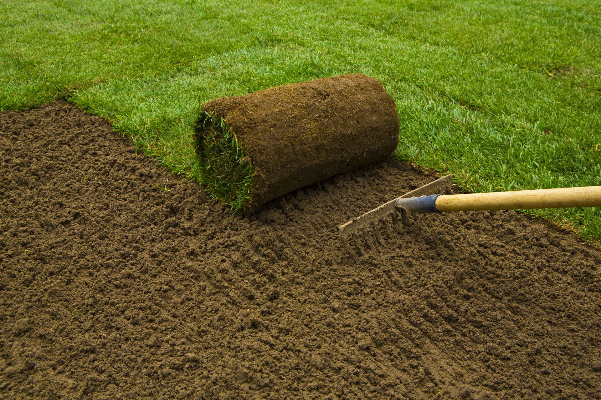 A roll of sod being laid on prepared soil, with a rake visible, in a grassy setting