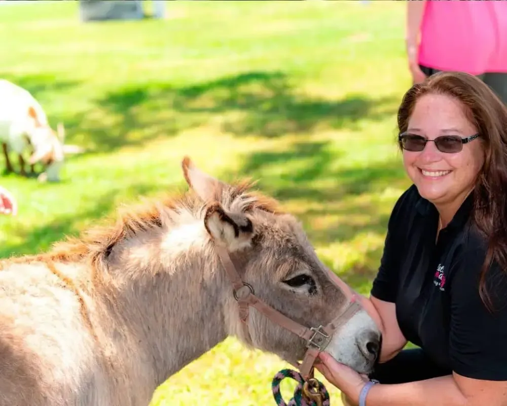 A woman is petting a donkey in a park.