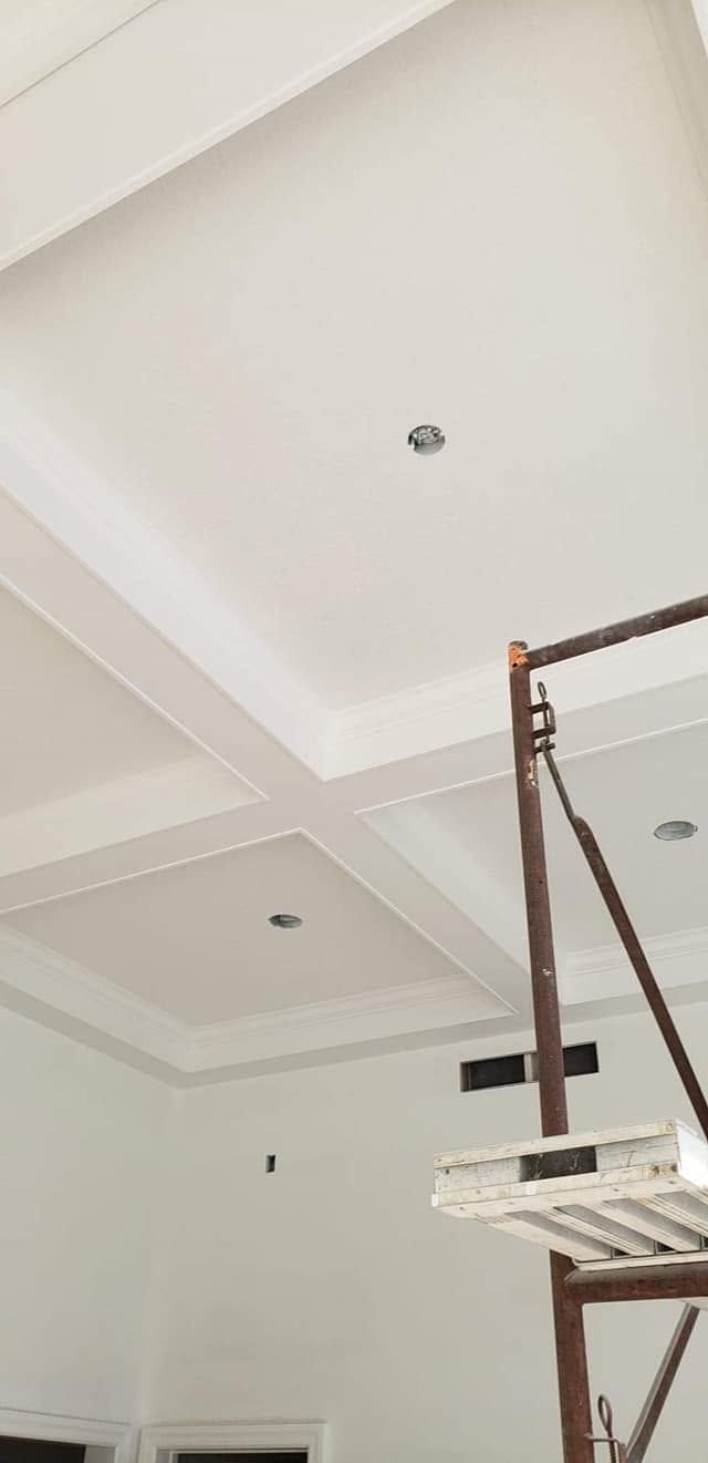 Ceiling with white coffered beams and recessed lights, with a scaffold at the right edge