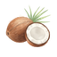 Coconut oil