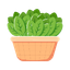 Spinach