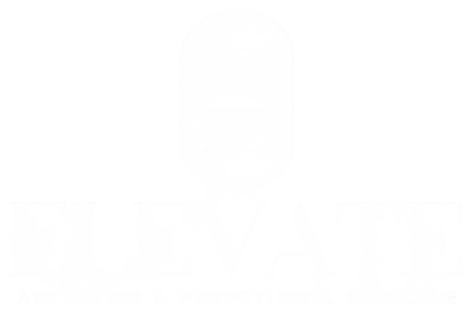 Elevate Logo