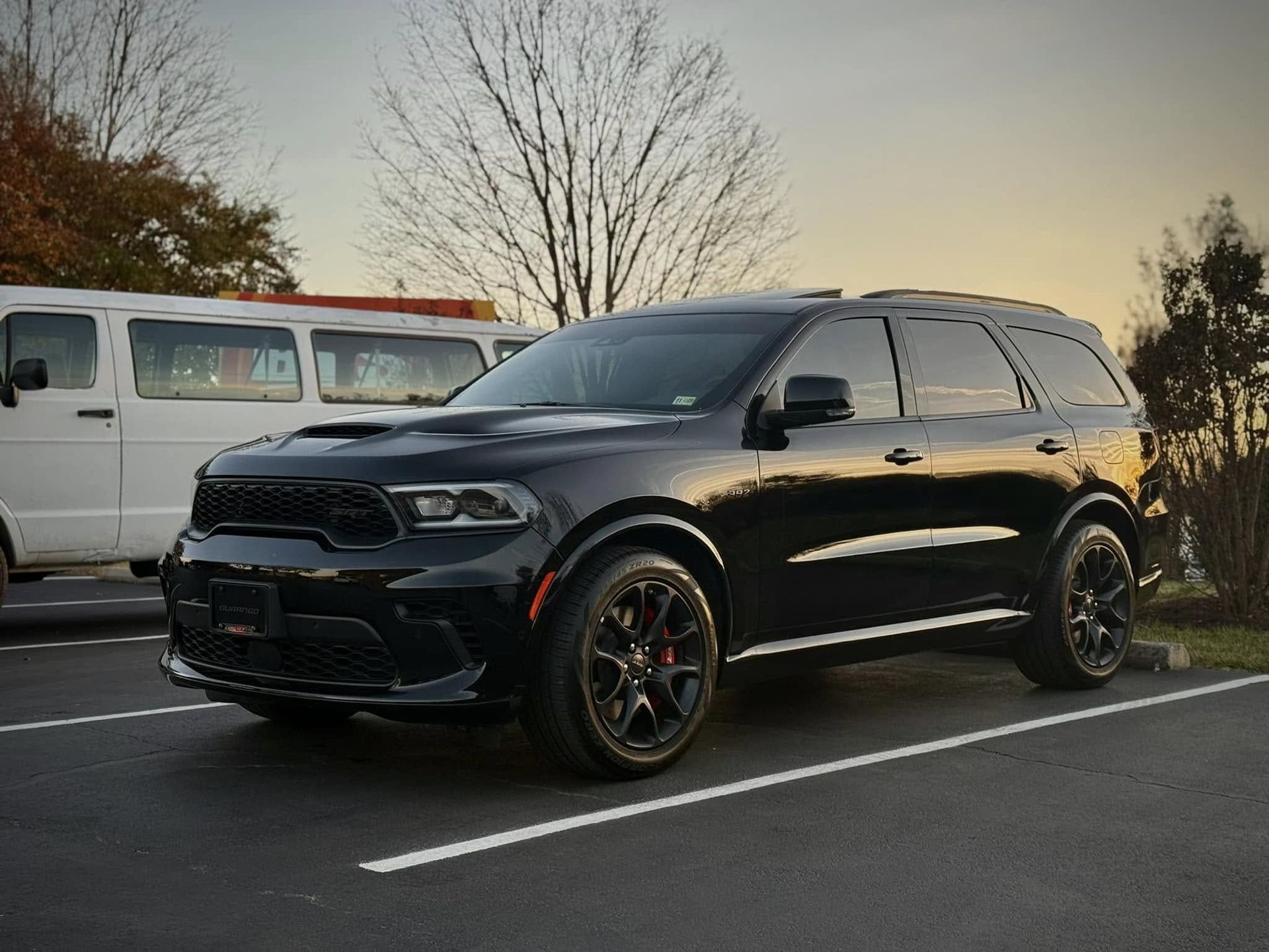 professional car tint installation in my area