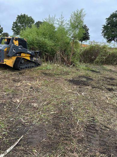 Yellow skid steer clearing brush in a wooded area under a cloudy sky