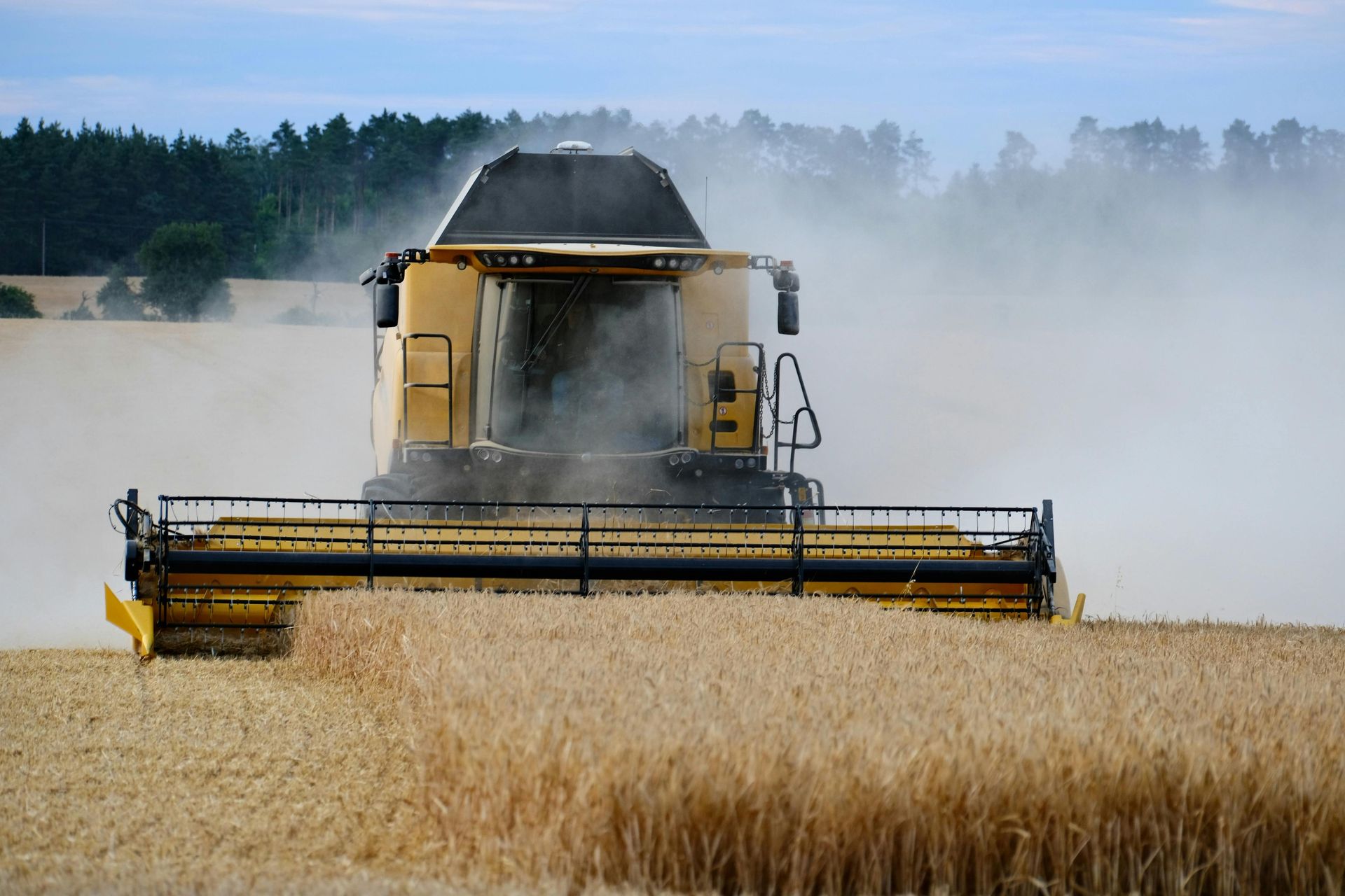 Yellow combine harvesting wheat in a field; dust in air; trees in background.