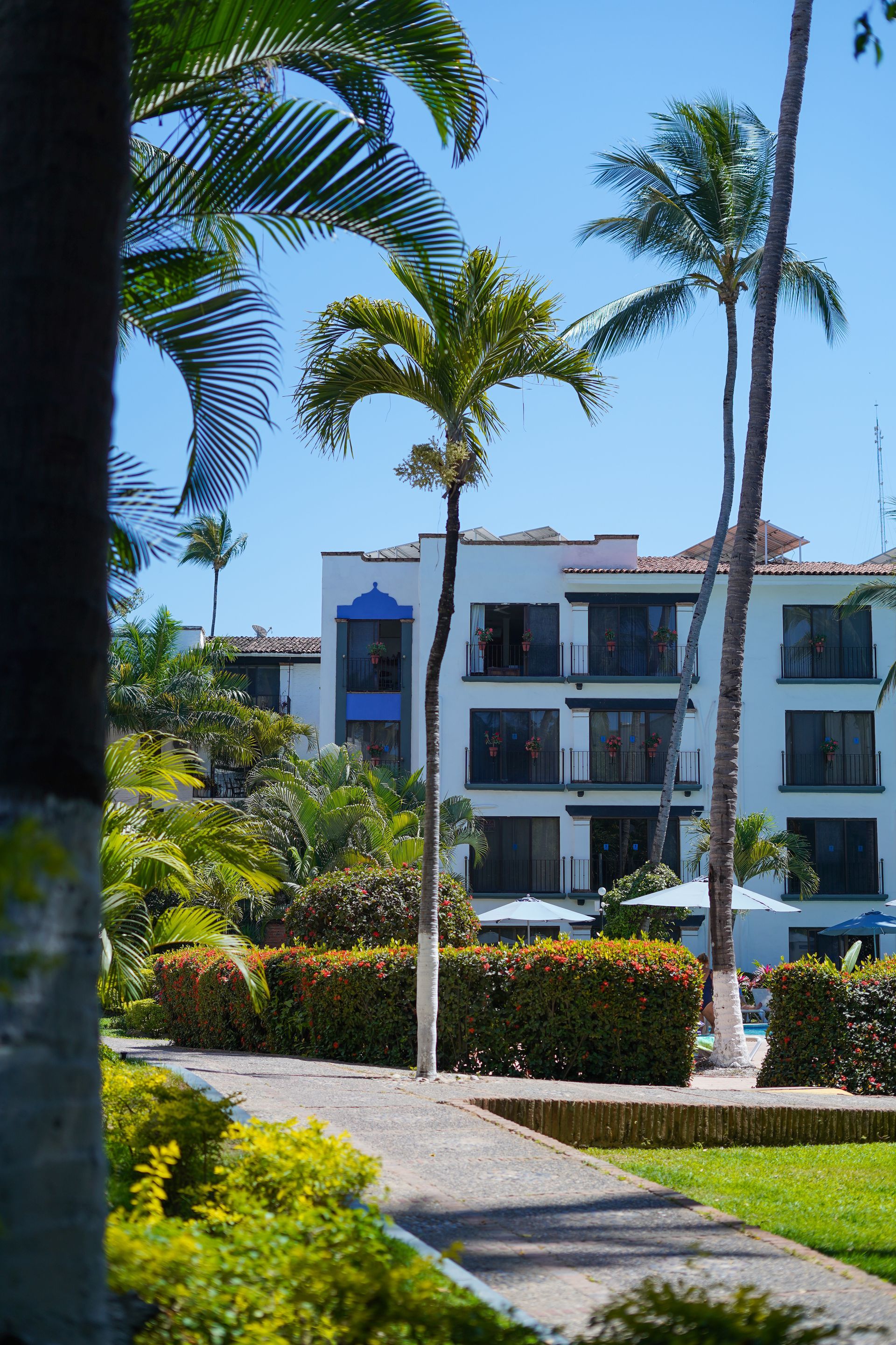 Palm trees frame a white building with balconies and a blue accent.