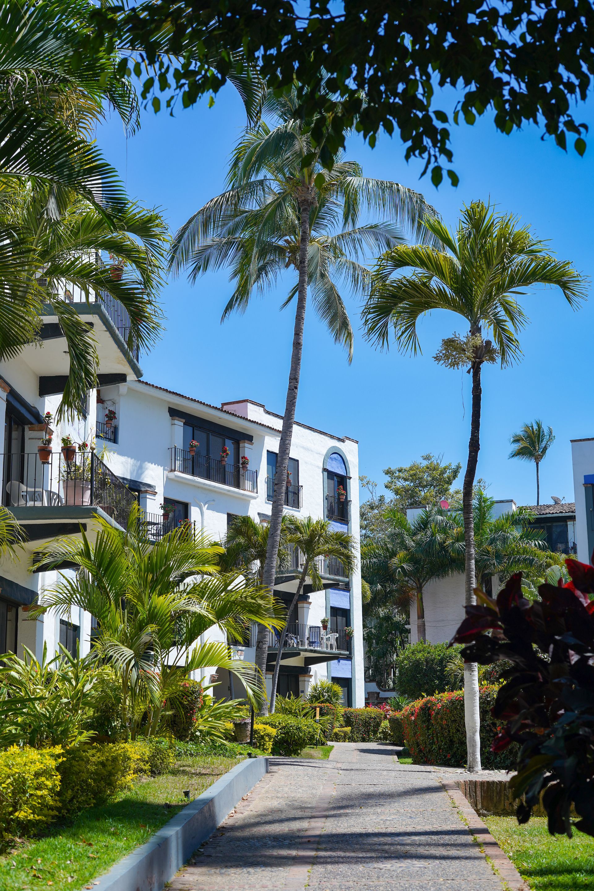 White building with balconies, palm trees, and a pathway under a bright blue sky.
