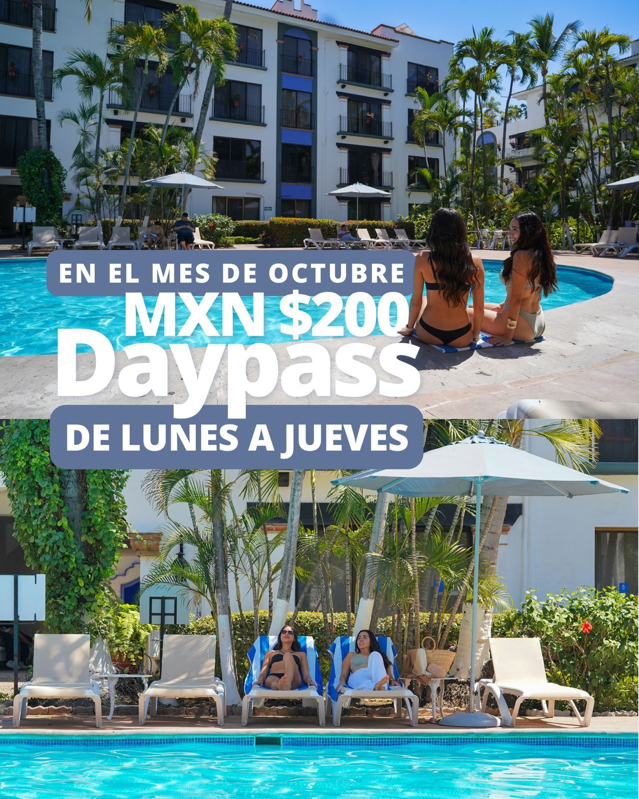 Promoción Verano de Patitas en Puerto de Luna, habitación pet friendly con kit de bienvenida para mascota